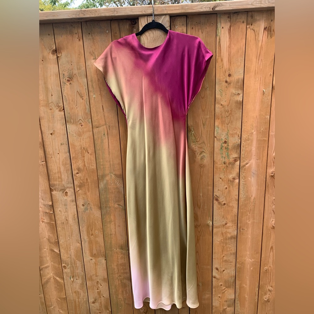 Stunning Zara Dress - new!